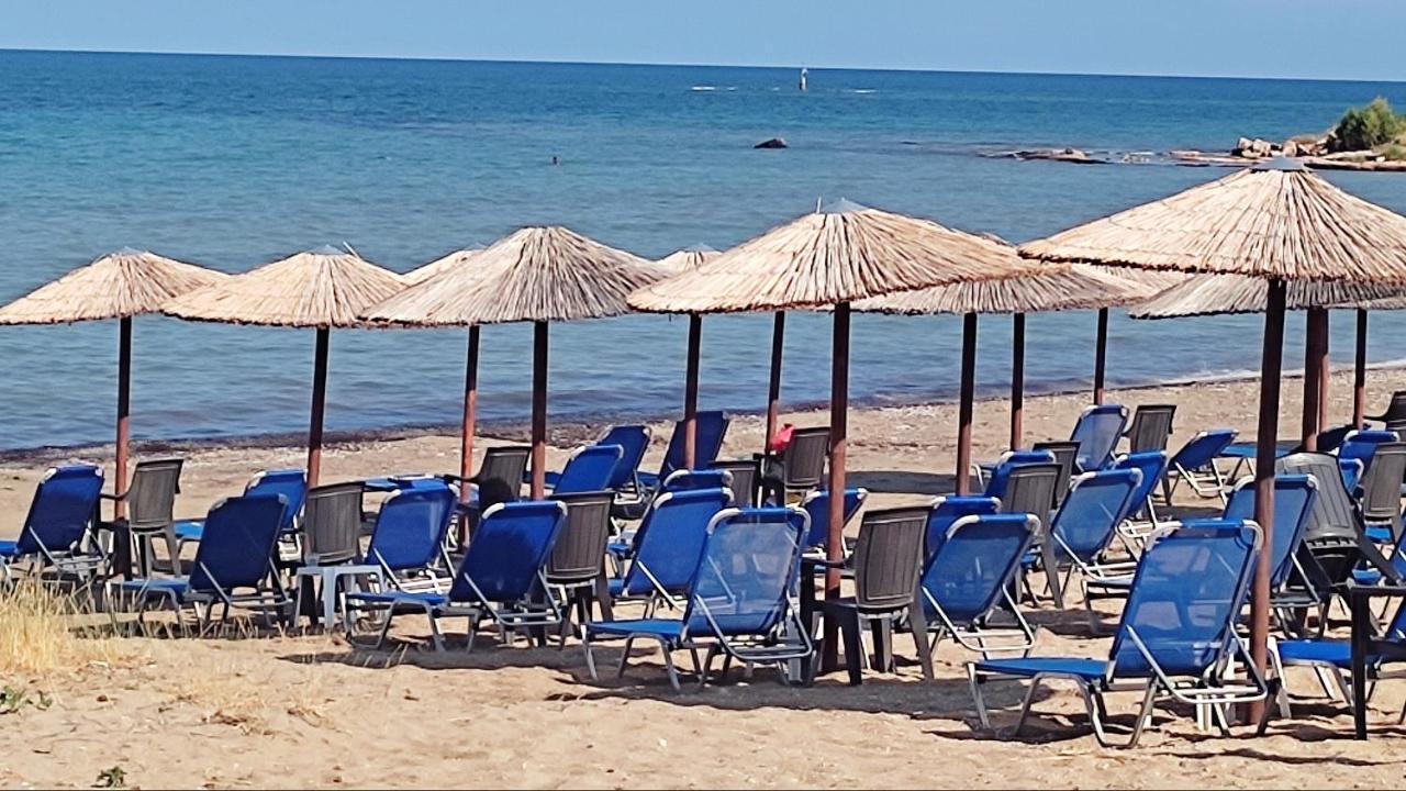 아르테미다 Beautiful Choice - Near Athens Airport - 50M From The Sea - Iq+ 아파트 외부 사진